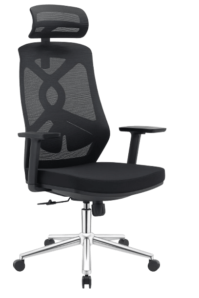 Chaise ergonomique Big Office