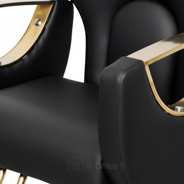 Fauteuil de Coiffure Professionnel Noir & Or – Base Hydraulique – Image 3