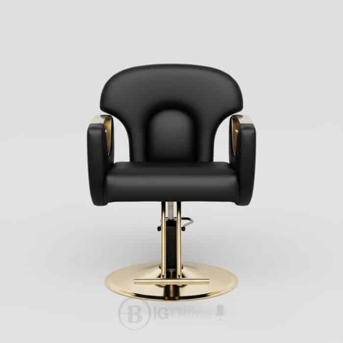 Fauteuil de Coiffure Professionnel Noir & Or – Base Hydraulique – Image 5