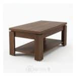 Table Basse Moderne en Bois avec Étagère de Rangement - Design Minimaliste - L 120 x P 60 x H 50 cm